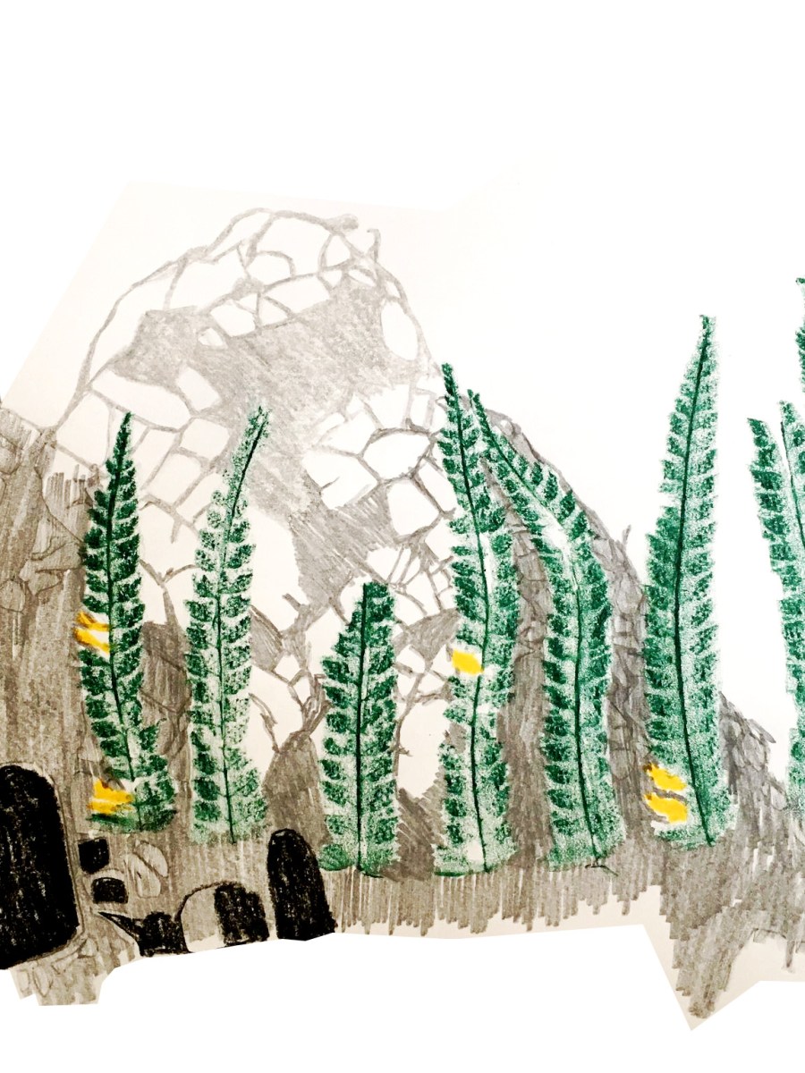 Somerset Reacquainted