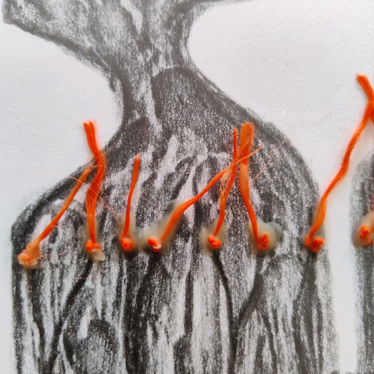 Résidence d&rsquo;été /&nbsp;2025