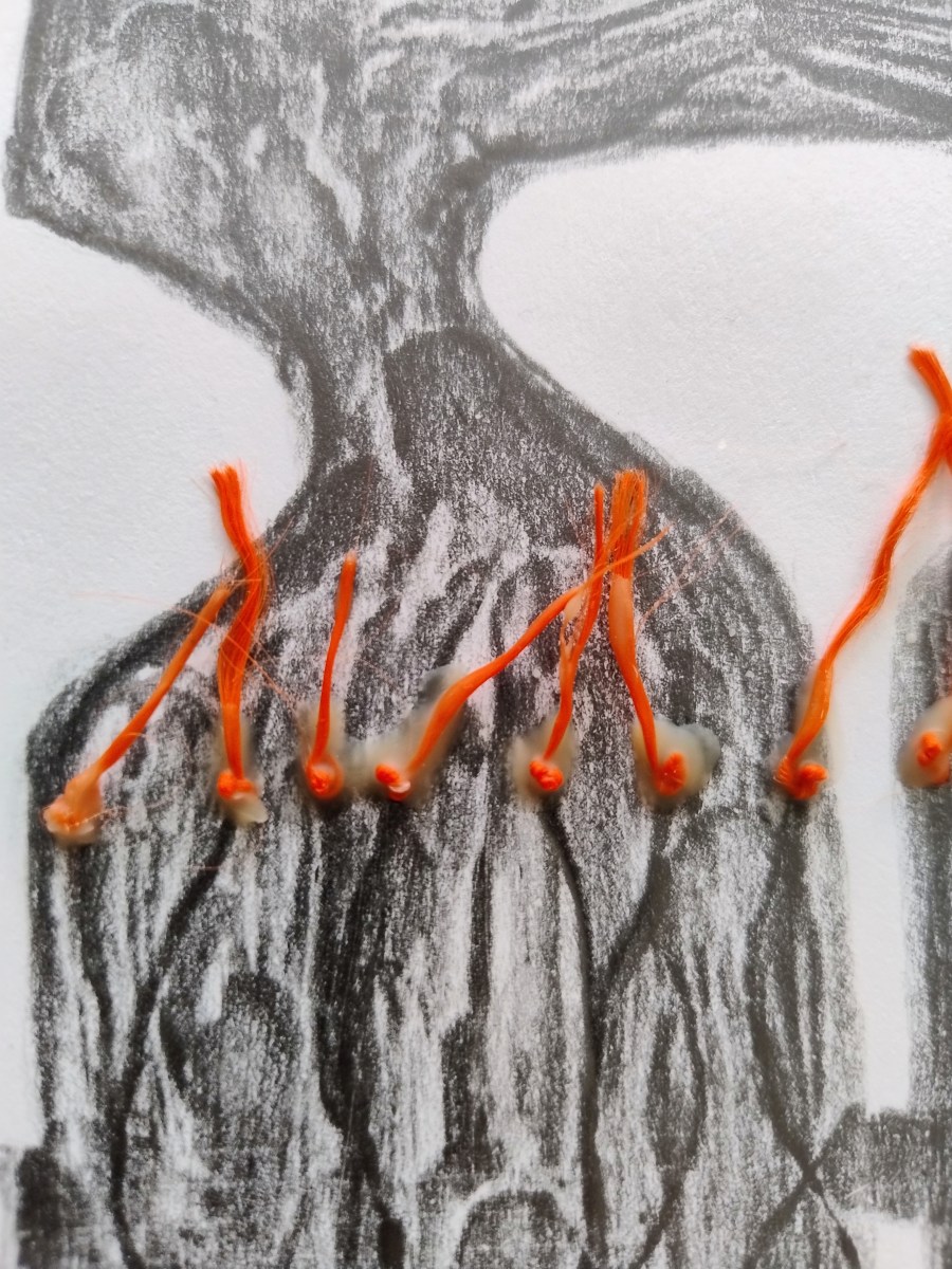 Résidence d&rsquo;été /&nbsp;2025